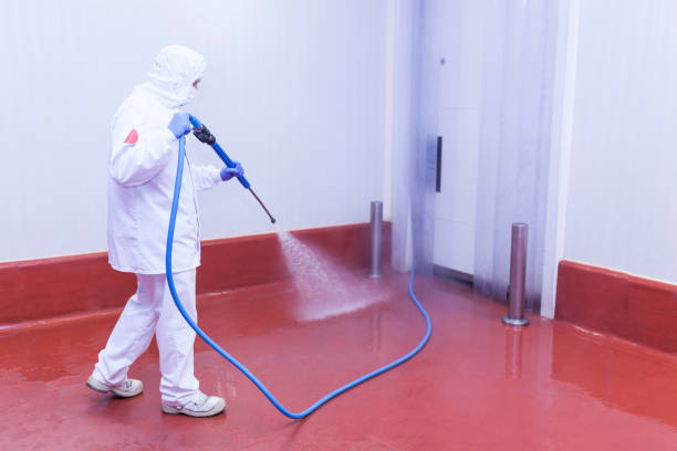 Best Dumpster Area Cleaning  in Franklin, TX